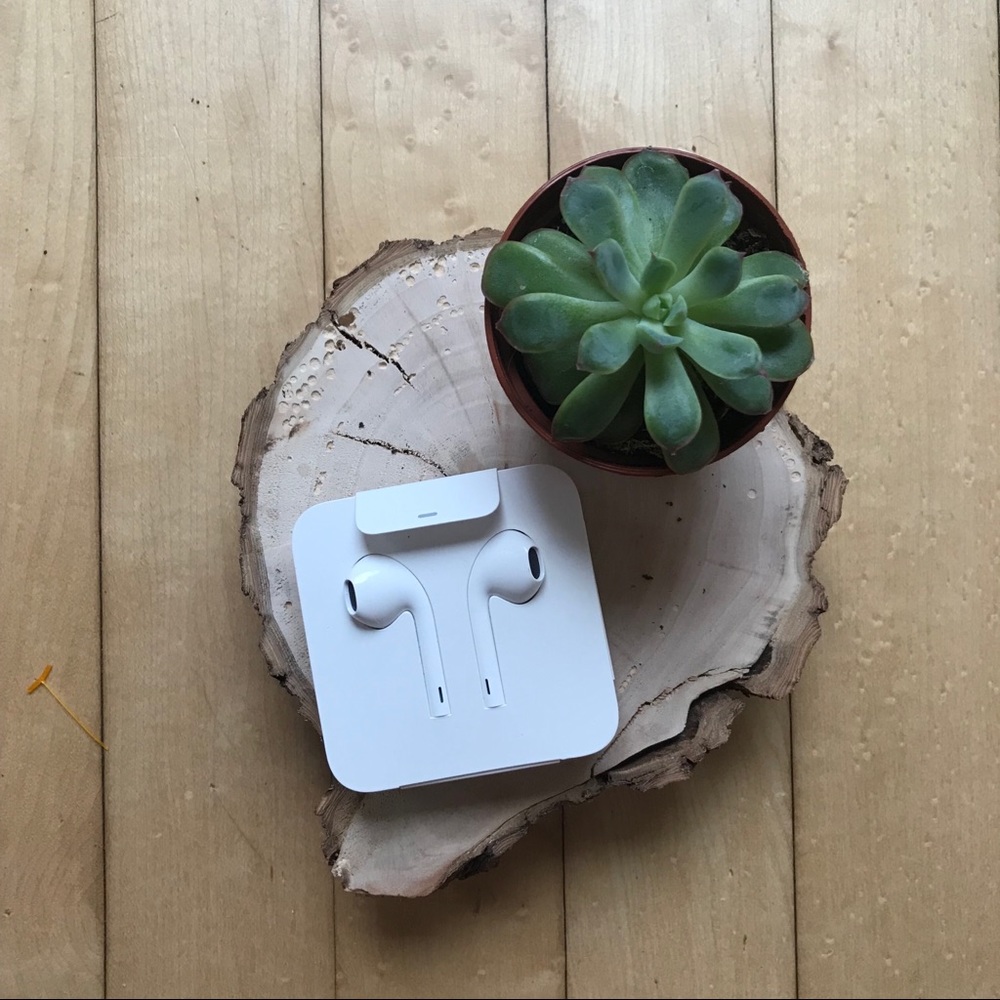 💫NIB💫 Apple EarPods with Lightning Adaptor